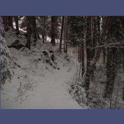 2013-02-02_Rappinschlucht_Lainlalm (019).jpg